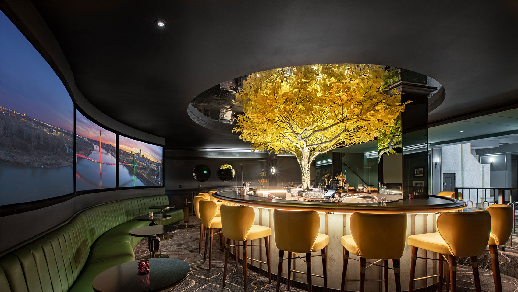 Lounge, Tree, Cottonwood